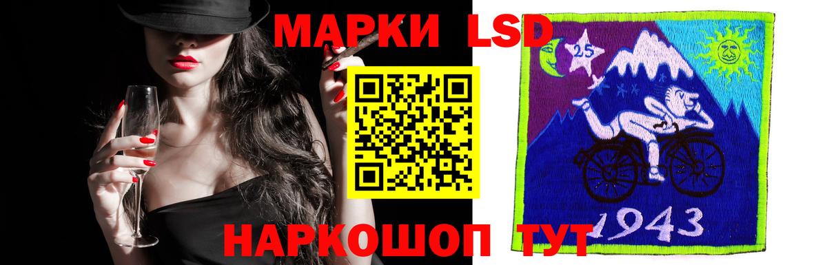 LSD-25 экстази ecstasy  ЛСД экстази ecstasy  ОМГ ОМГ ссылка  Вход с VPN  Бердск 