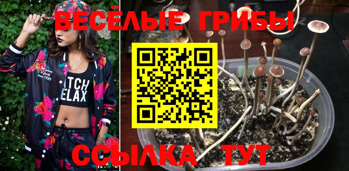 Псилоцибиновые грибы мухоморы  Вход с VPN  Бердск 
