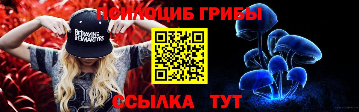 Галлюциногенные грибы Magic Shrooms Бердск