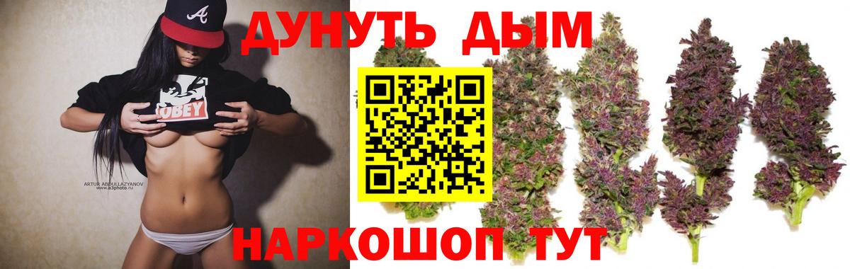 Шишки марихуана конопля Бердск